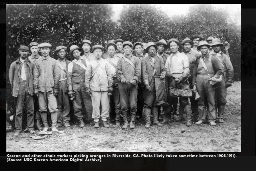 Twenty men in work clothes and hats standing in a row in front of a dense hedge of orange trees, with a printed caption beneath