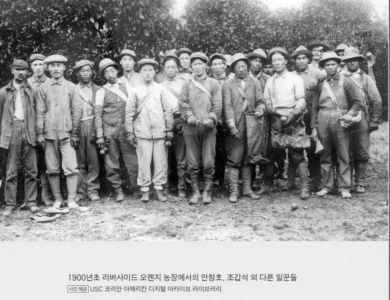 The orchard photograph in full, above a Korean-language caption and credit line